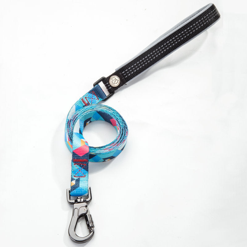 The Ultimate Dog Leash for Every Adventure